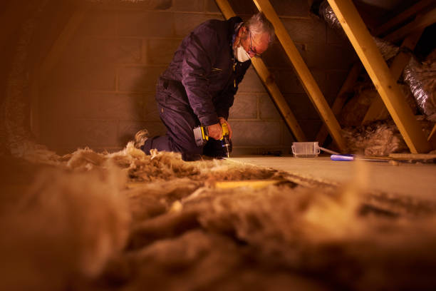 Best Insulation Installation Services in Dacula, GA